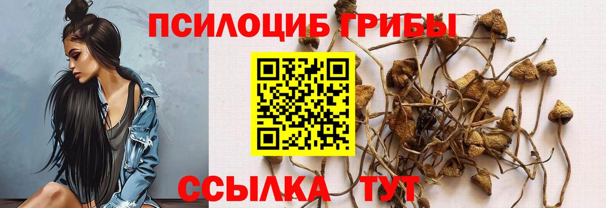 ГАШ  Alpha PVP СОЛЬ   Меф МЯУ МЯУ   МЕТ  Кулебаки  Вход с VPN 