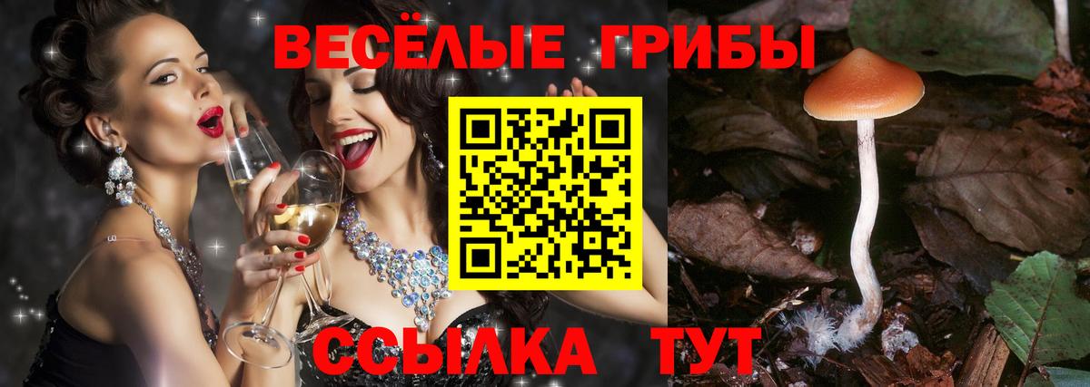 Галлюциногенные грибы мухоморы  Галлюциногенные грибы Magic Shrooms  Кулебаки  Вход с VPN 